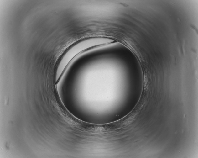 X0000103290301200808291339