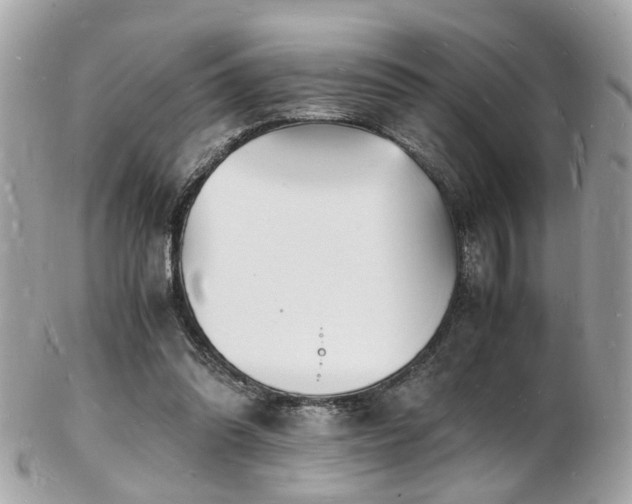 X0000103290302200808291339