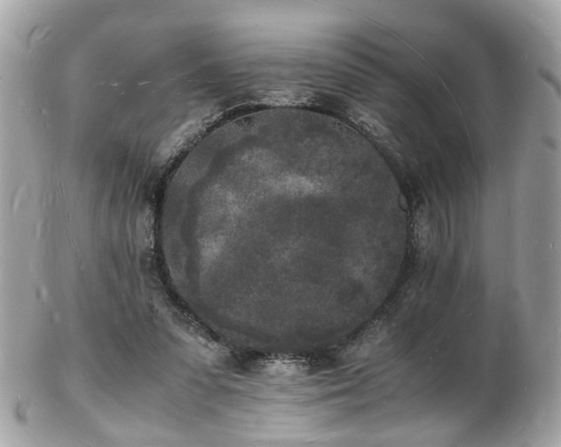 X0000103290303200808291339