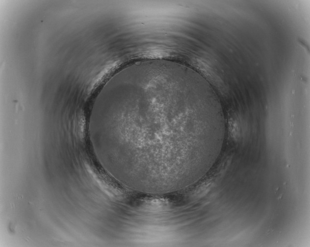 X0000103290304200808291339