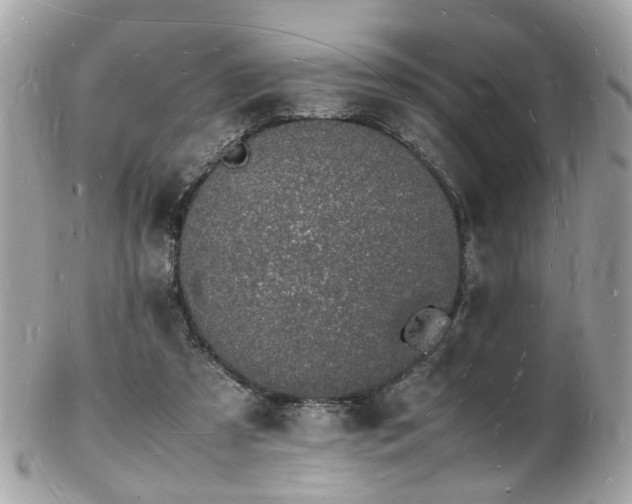 X0000103290305200808291339