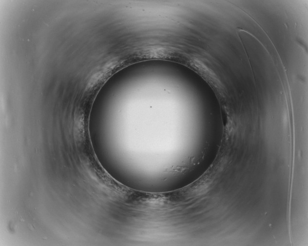 X0000103290306200808291339