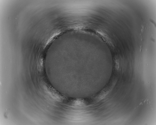 X0000103290308200808291339