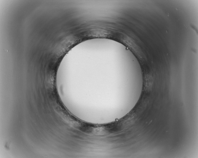 X0000103290309200808291339