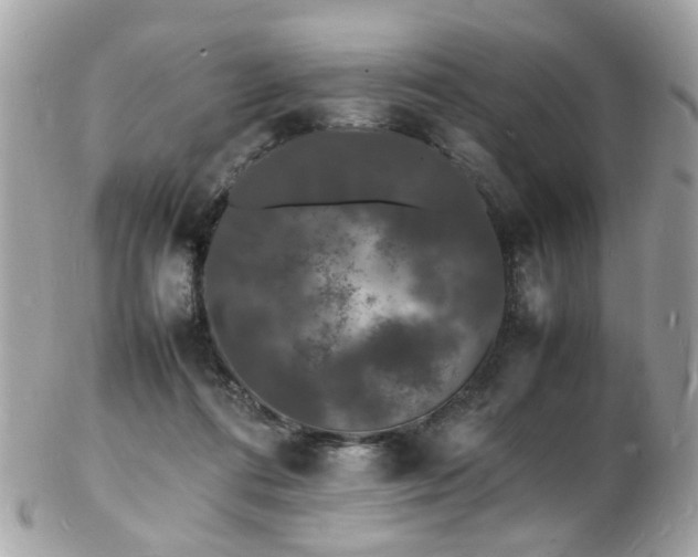 X0000103290312200808291339