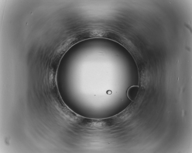 X0000103290314200808291339