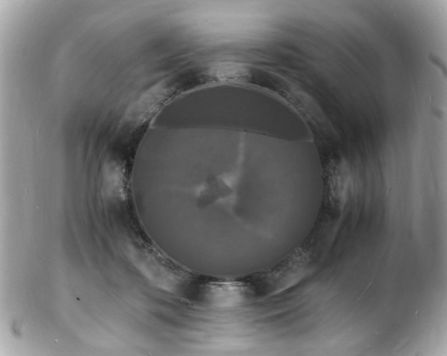 X0000103290316200808291339