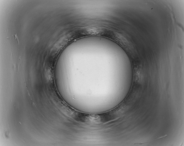 X0000103290317200808291339