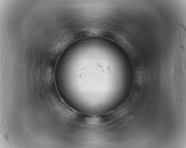 X0000103290318200808291339