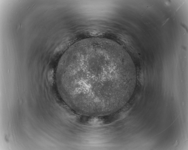 X0000103290319200808291339