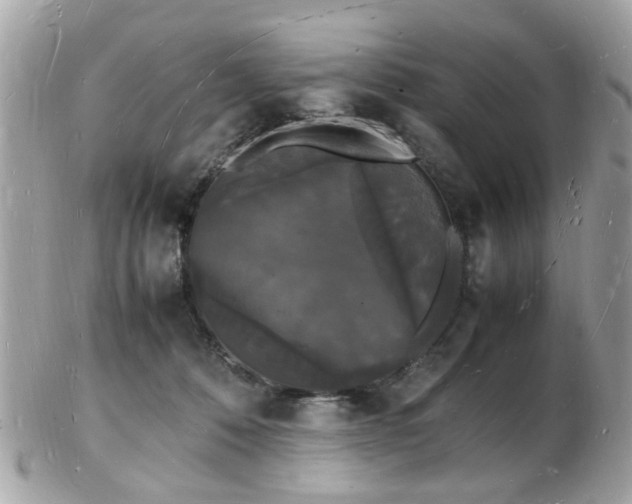 X0000103290320200808291339