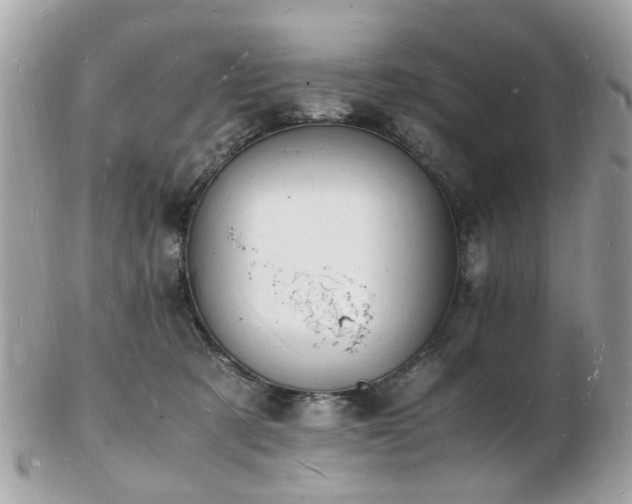 X0000103290321200808291339