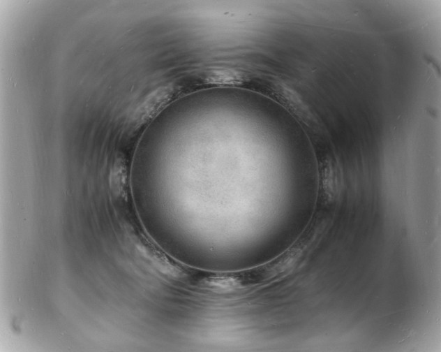 X0000103290322200808291339