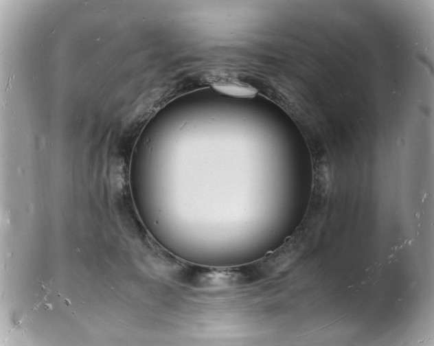 X0000103290323200808291339