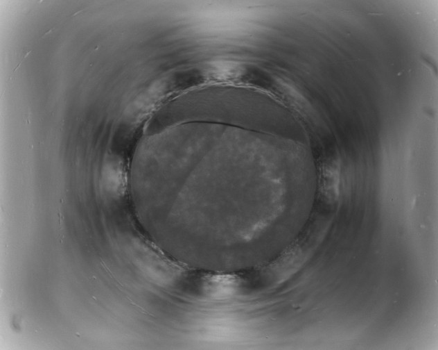 X0000103290324200808291339