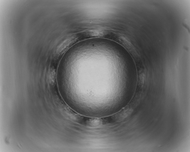 X0000103290325200808291339