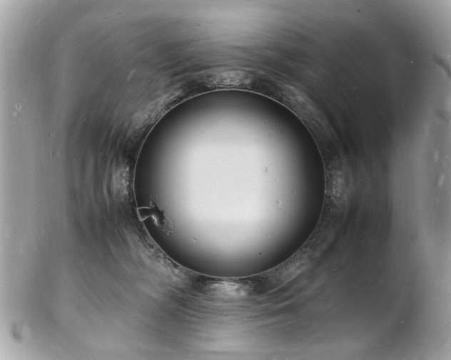 X0000103290326200808291339