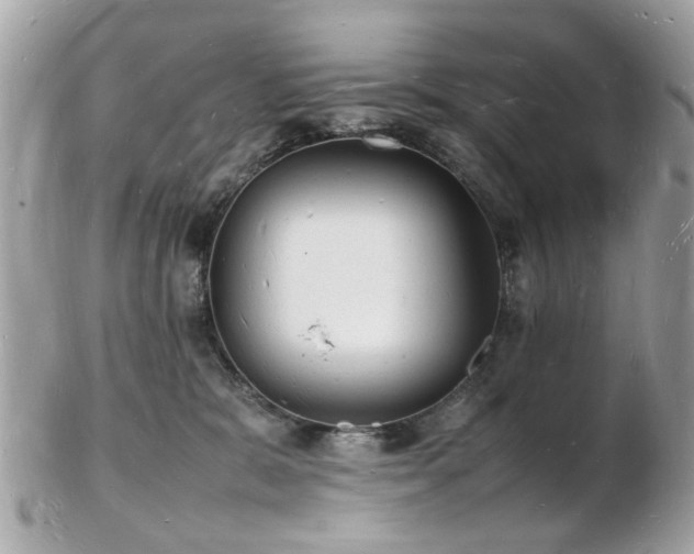 X0000103290327200808291339