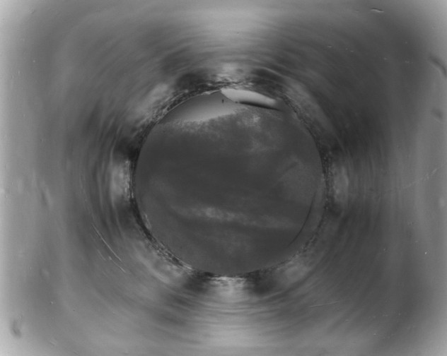 X0000103290328200808291339