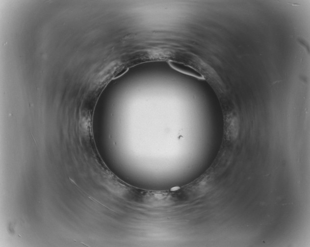 X0000103290329200808291339