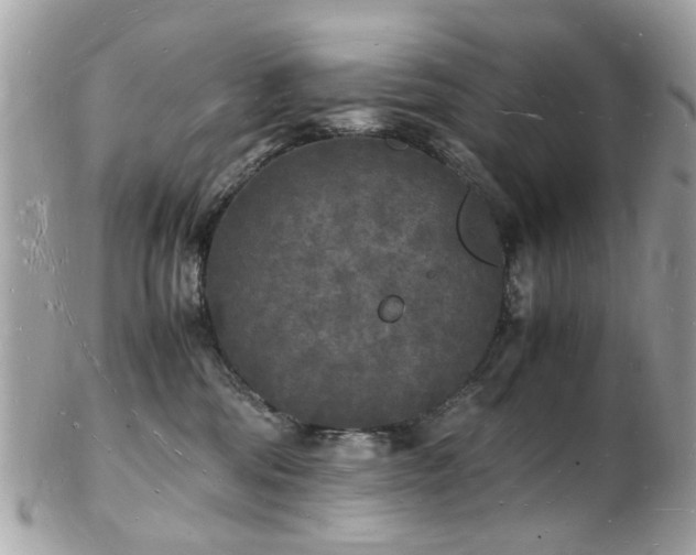 X0000103290330200808291339