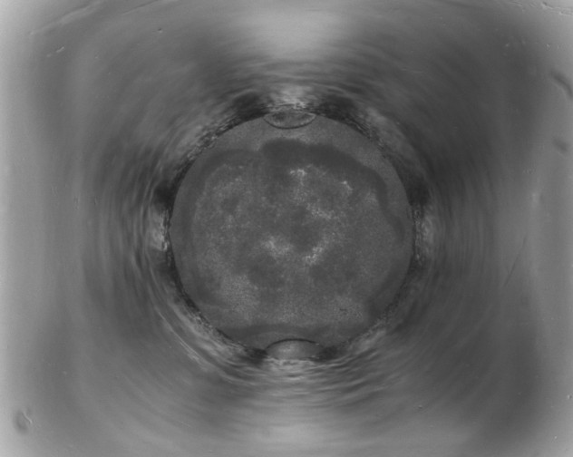 X0000103290331200808291339