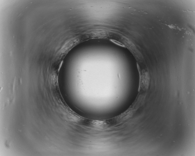 X0000103290333200808291339