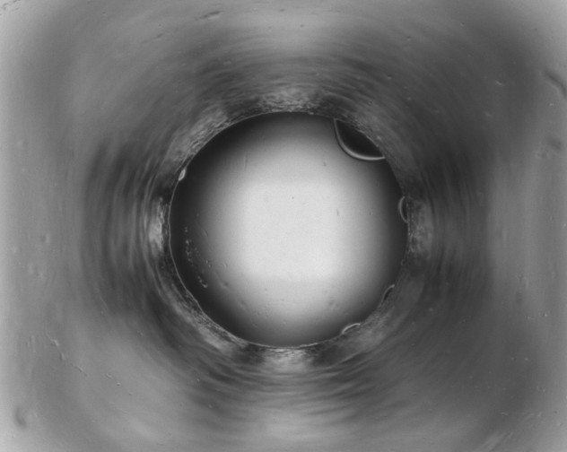 X0000103290334200808291339