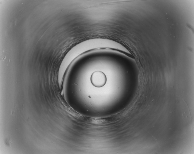 X0000103290336200808291339