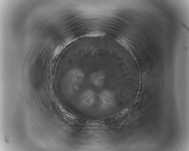 X0000103290337200808291338