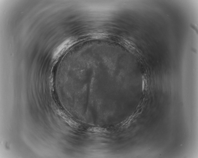 X0000103290339200808291338