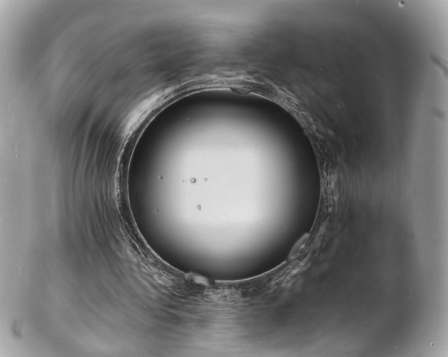 X0000103290340200808291338