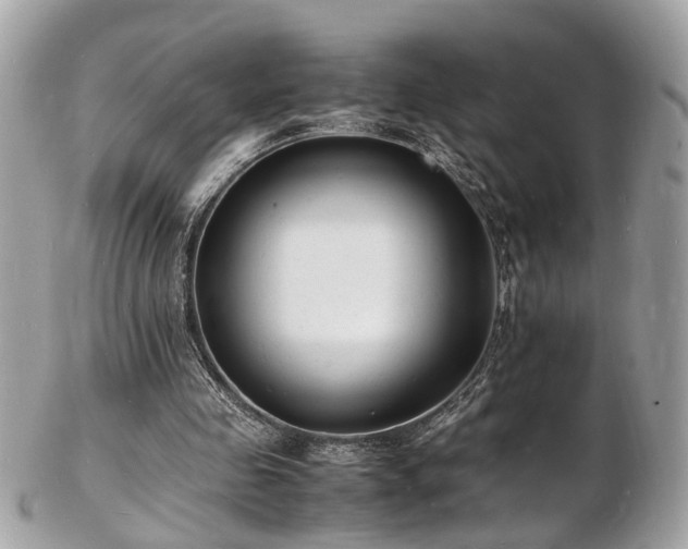 X0000103290341200808291338