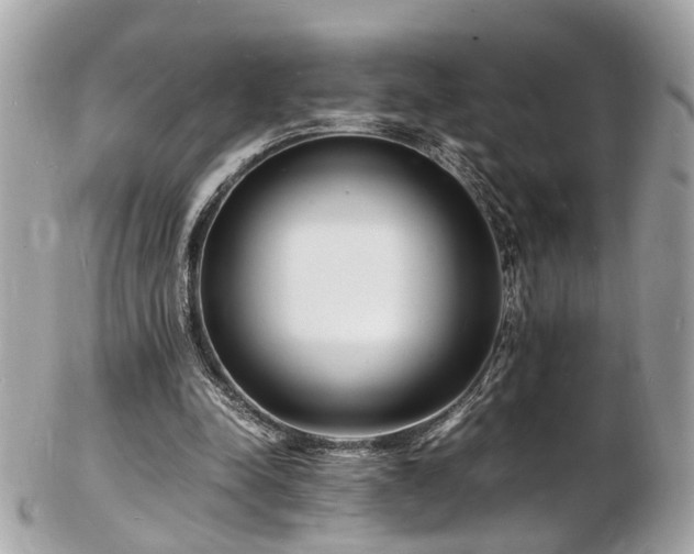 X0000103290342200808291338