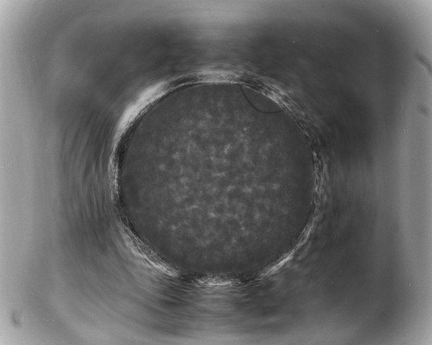 X0000103290343200808291338