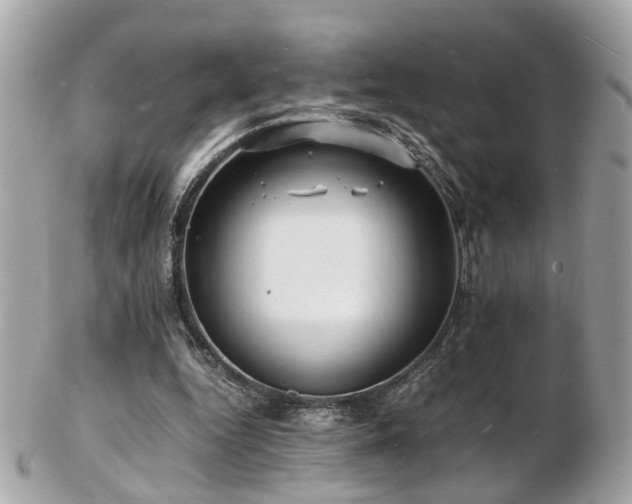 X0000103290344200808291338