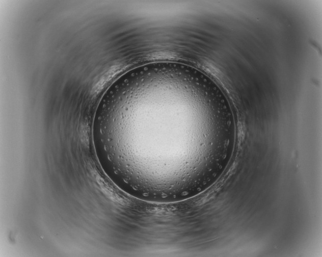 X0000103290345200808291338