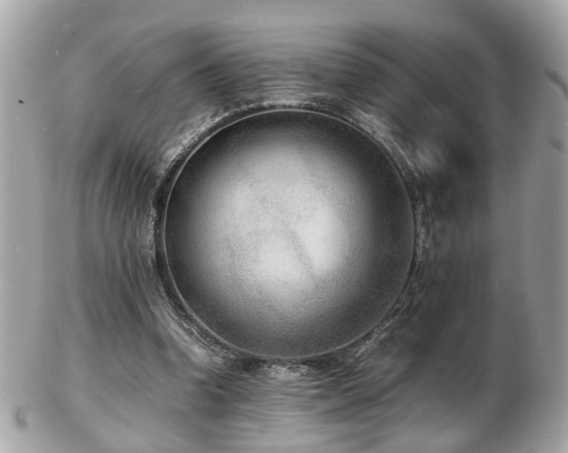 X0000103290346200808291338