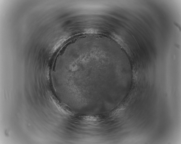 X0000103290347200808291338