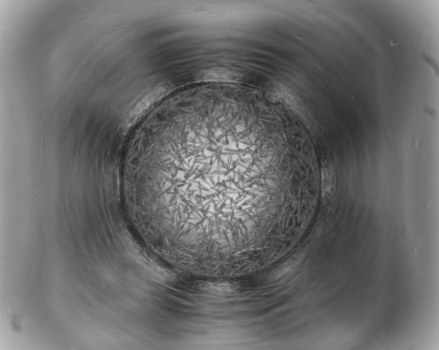 X0000103290349200808291338