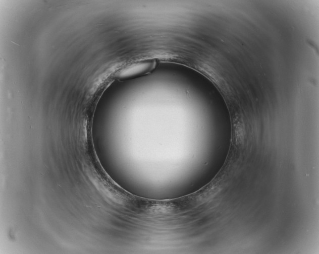 X0000103290350200808291338