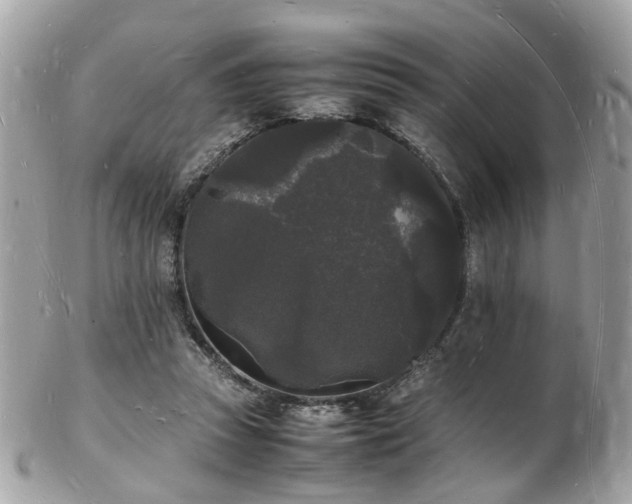 X0000103290353200808291338