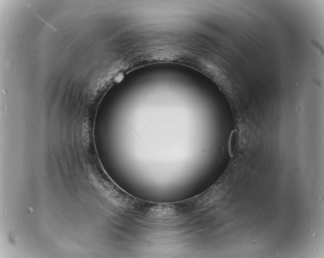 X0000103290354200808291338