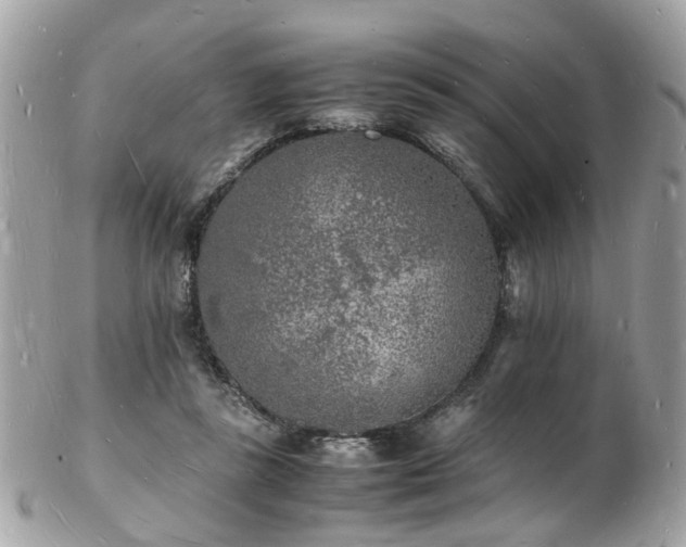 X0000103290355200808291338