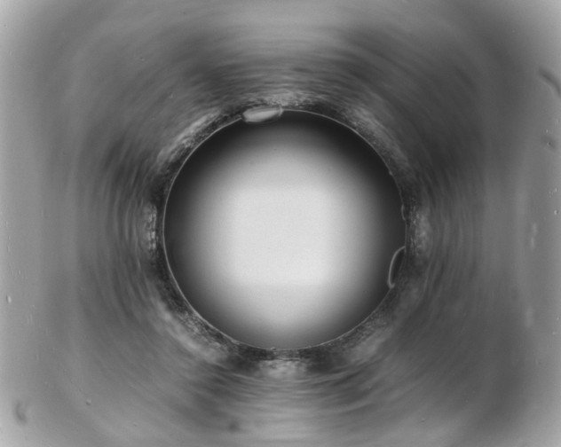 X0000103290356200808291338