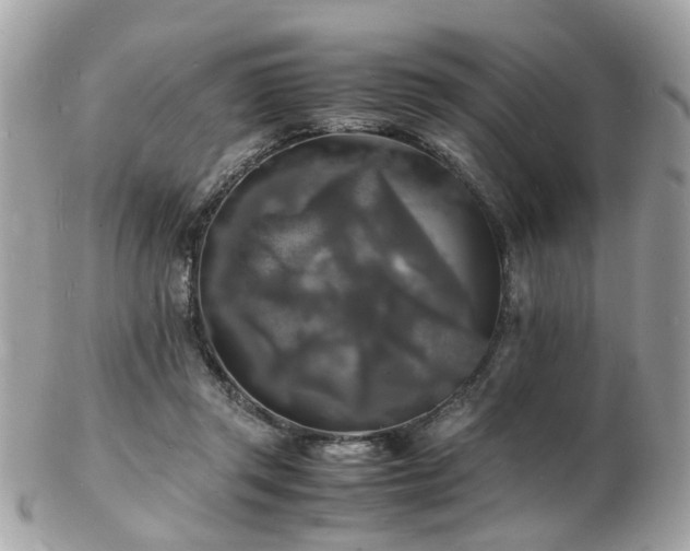 X0000103290357200808291338