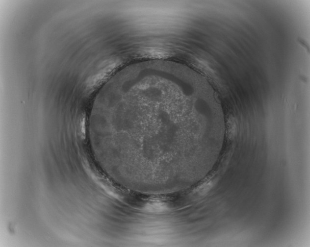 X0000103290358200808291338