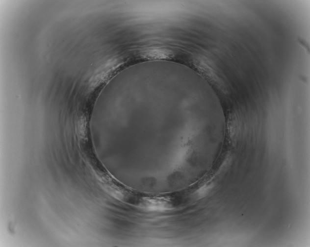 X0000103290359200808291338