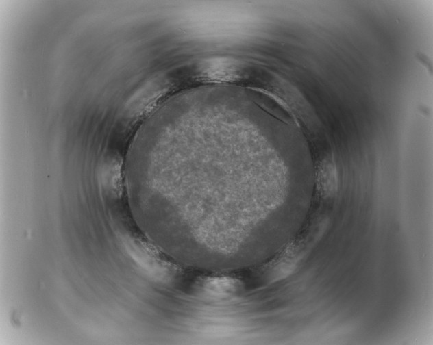 X0000103290360200808291338