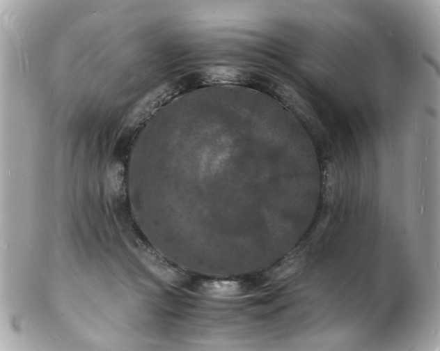 X0000103290361200808291338